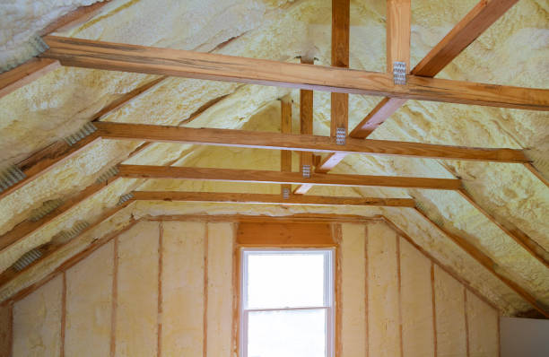 Best Insulation Maintenance and Repair in Smithville Sanders, IN